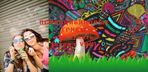 MDMA Карпинск