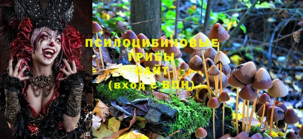 эйфоретик Кинешма