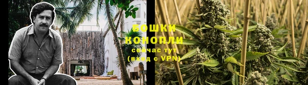 гашиш Касимов