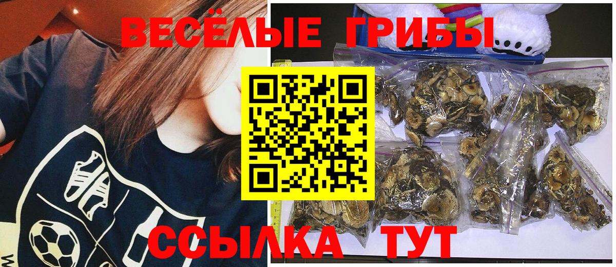 Галлюциногенные грибы Psilocybe Ангарск