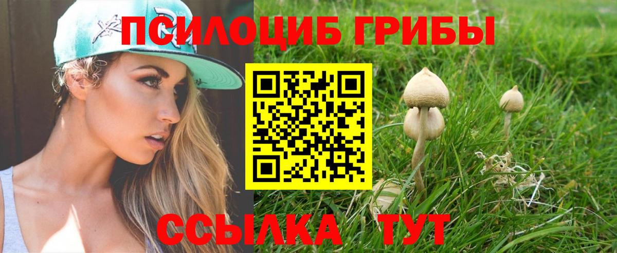 Галлюциногенные грибы MAGIC MUSHROOMS  Вход с VPN  Ангарск 