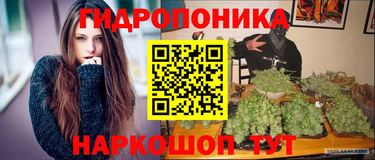Ангарск  Бошки марихуана ГИДРОПОН  Конопля планчик  Вход с VPN  Бошки Шишки тримм 
